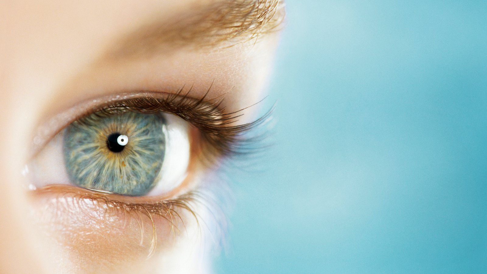 The Retinal Eye: Understanding Its Role in Vision and How to Protect It